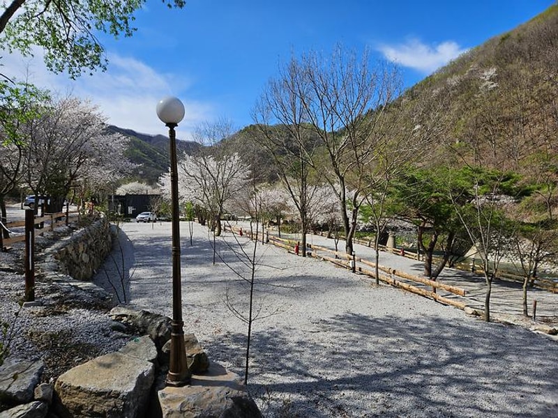 담터 민수 캠핑장