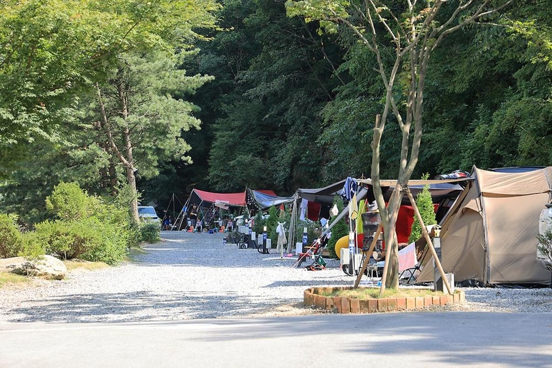 산정호수 돌고래 캠핑장 시설 사진 4