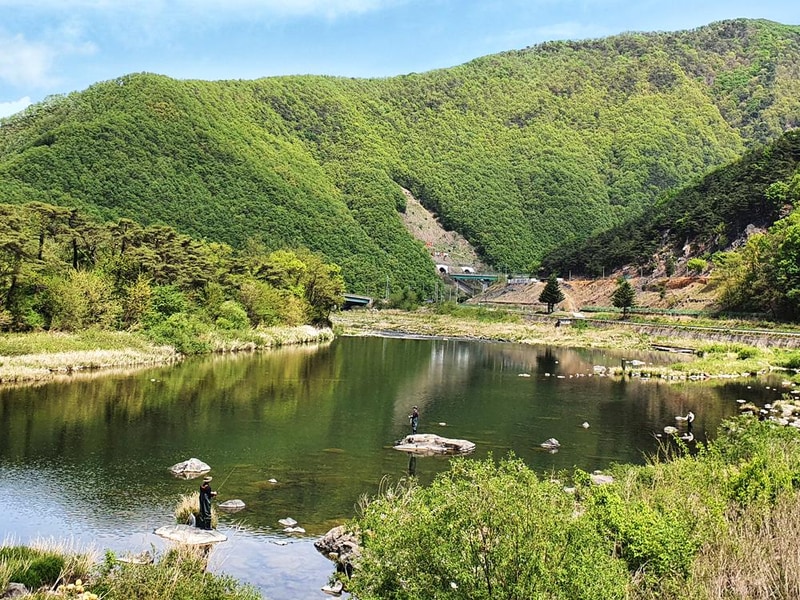 미산가족오토캠핑장 시설 사진 37
