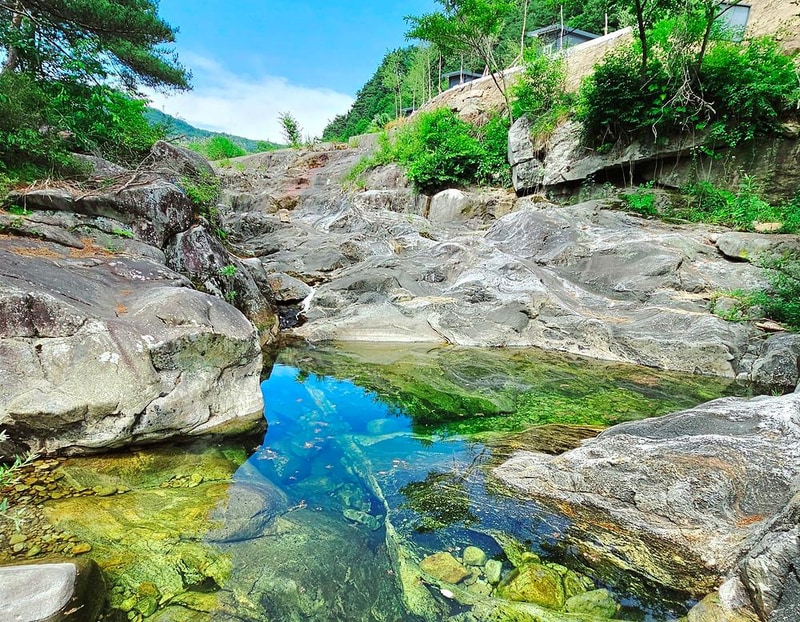 자작나무뜰 오토캠핑장 시설 사진 9