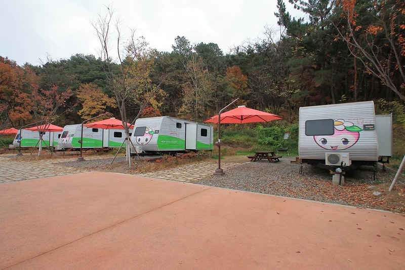 달서별빛캠프 캠핑장 시설 사진 32