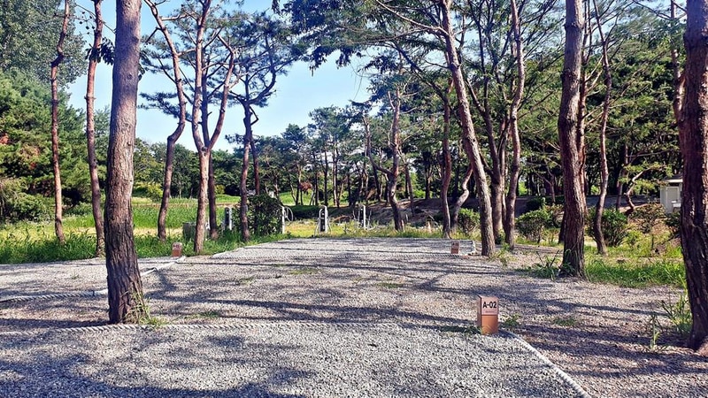 소풍정원 캠핑장 시설 사진 37