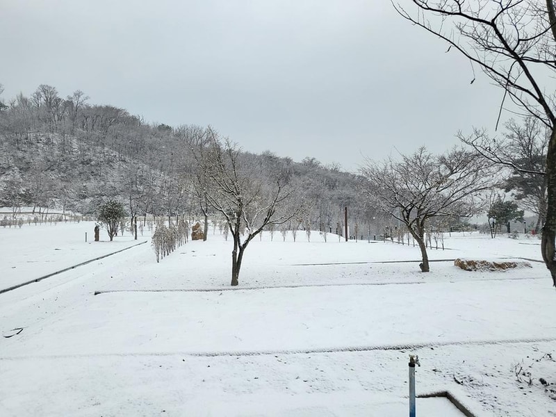 필(FEEL) 캠핑장 시설 사진 40