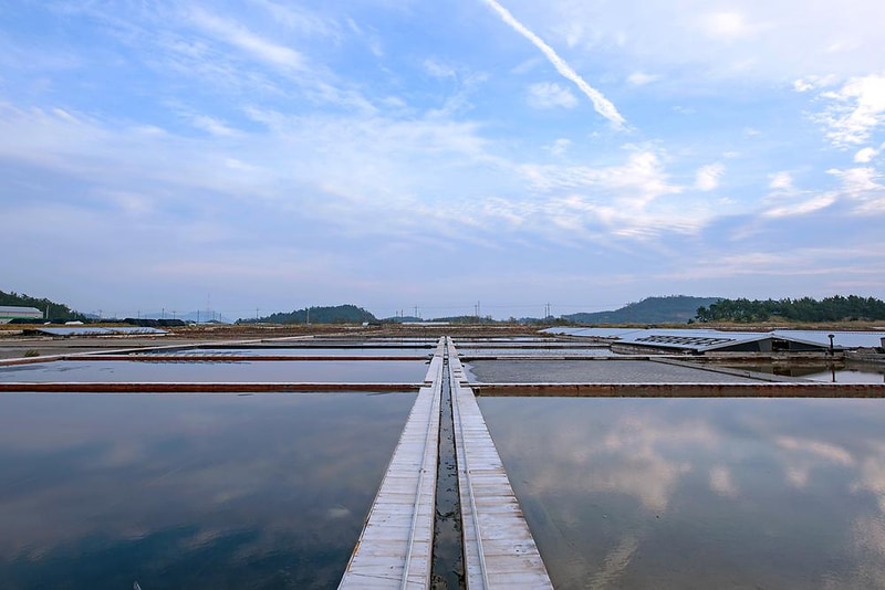 (주)태평소금 천일염 힐링캠프 시설 사진 13