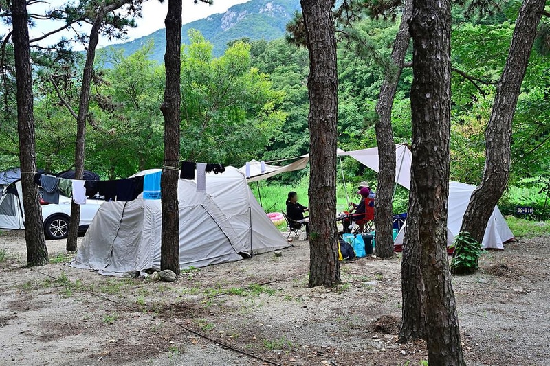 라라캠핑장 시설 사진 9