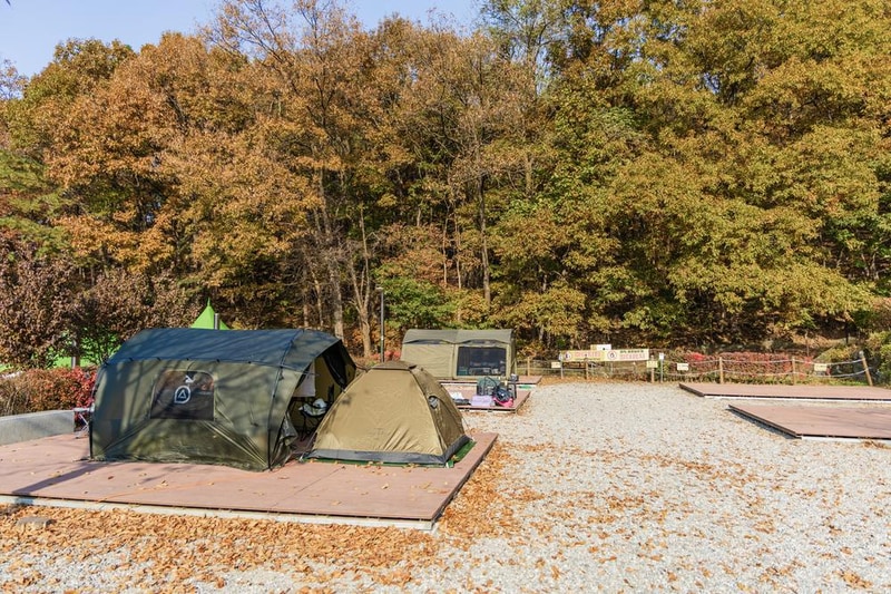 초막골생태공원 느티나무야영장 시설 사진 58