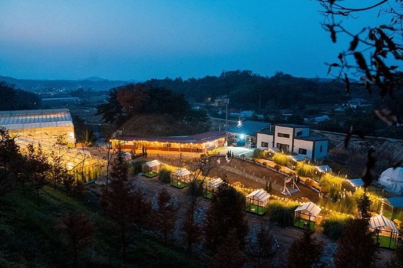 더힐링식물원 야영장 시설 사진 10