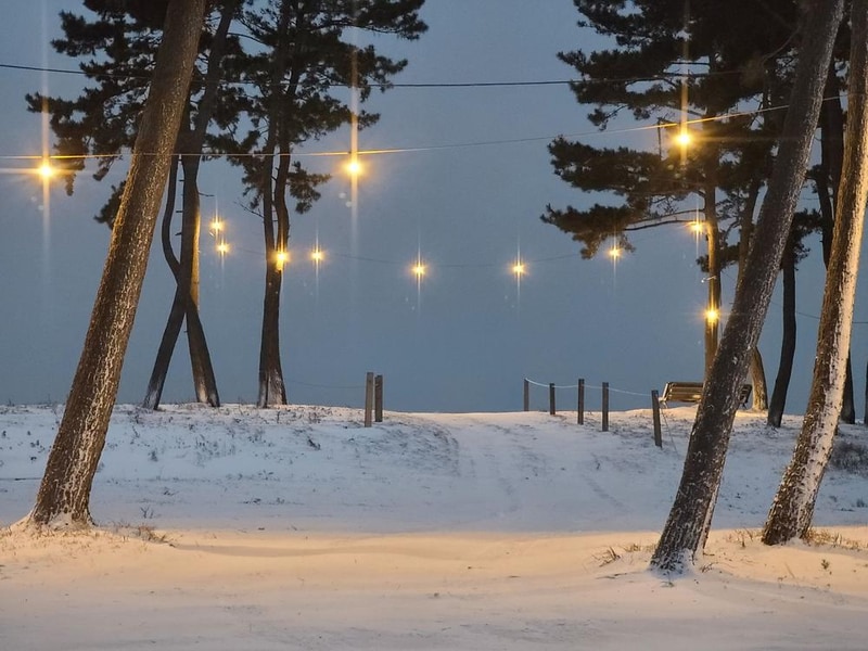 태안노을숲캠핑장 시설 사진 4