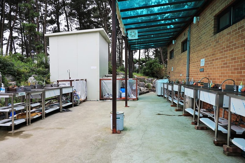 대부도 아라뜰 캠핑장 시설 사진 8