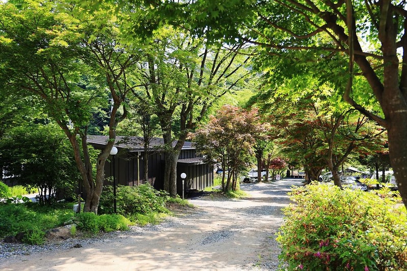 숲에서 놀자 시설 사진 21