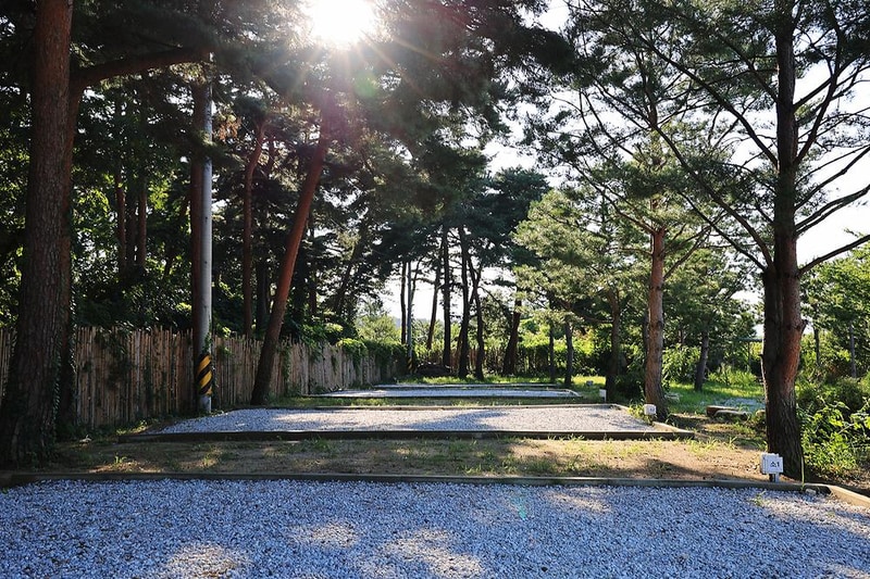 342 camp 시설 사진 1