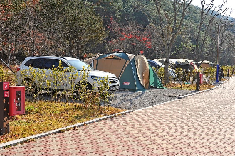 주암 오토캠핑장 시설 사진 9