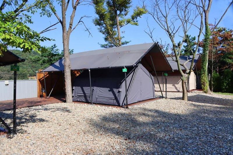 (주)러블레싱(LOVEBLEESING INC) 시설 사진 14