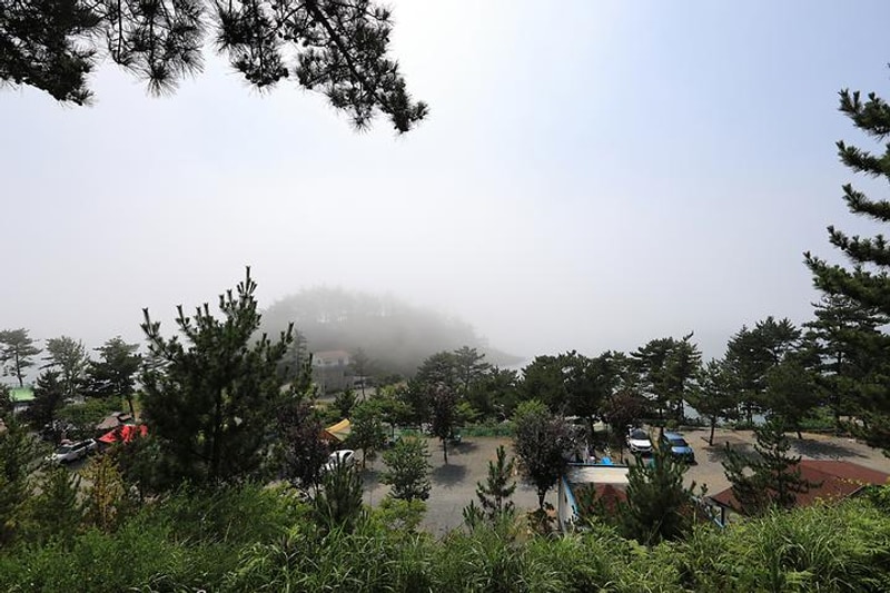 SE클럽(태안둘레길캠핑장&펜션)