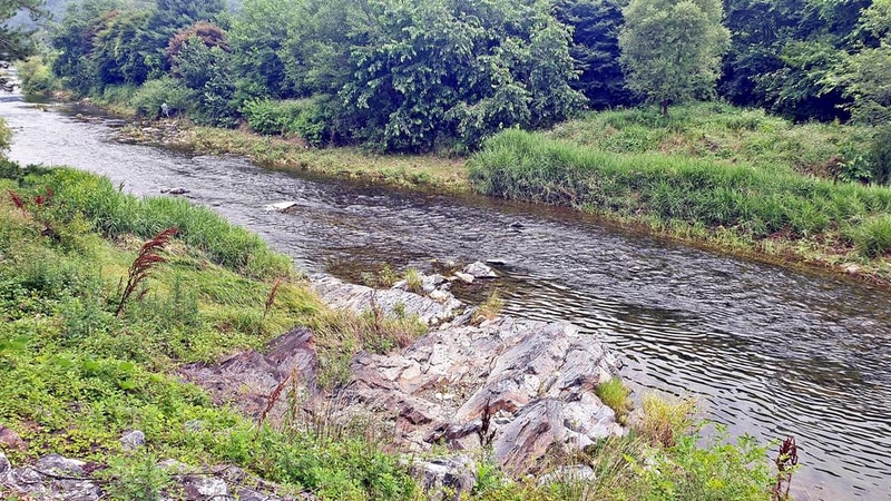 숲캠핑장 시설 사진 15