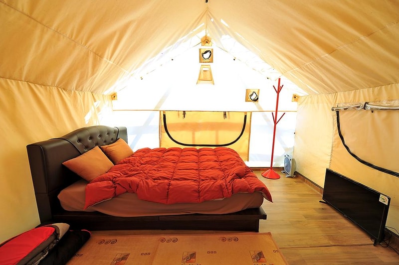 룩스글램핑앤팜 시설 사진 8