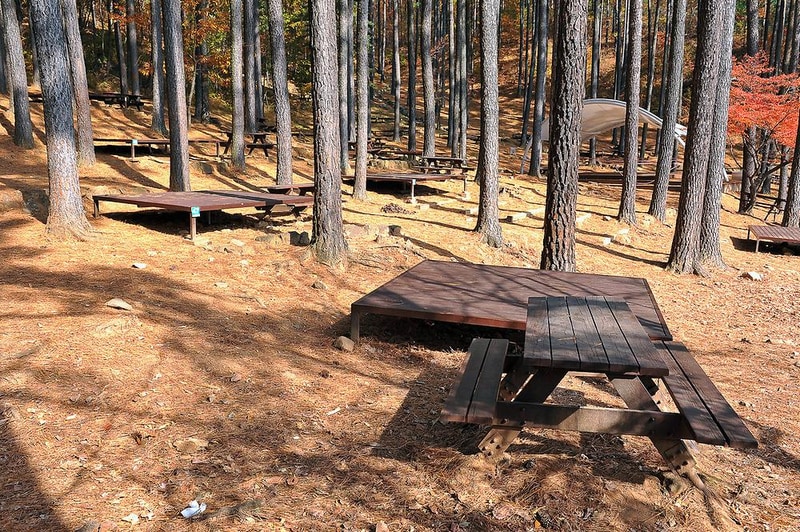 백운산 자연휴양림 야영장 시설 사진 8