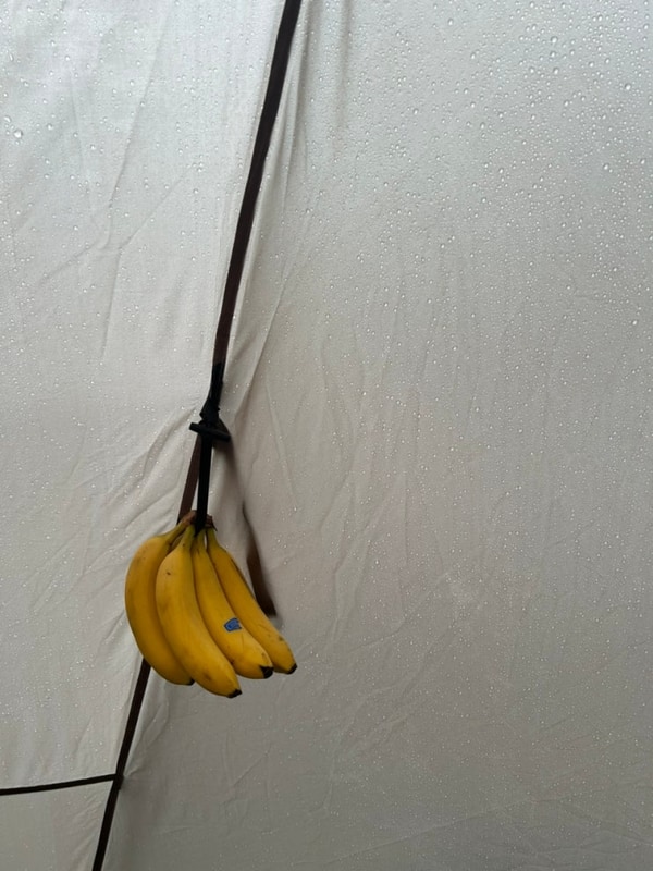 절골힐링캠핑장