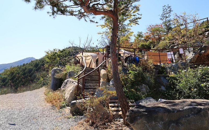 도담캠핑장 시설 사진 3