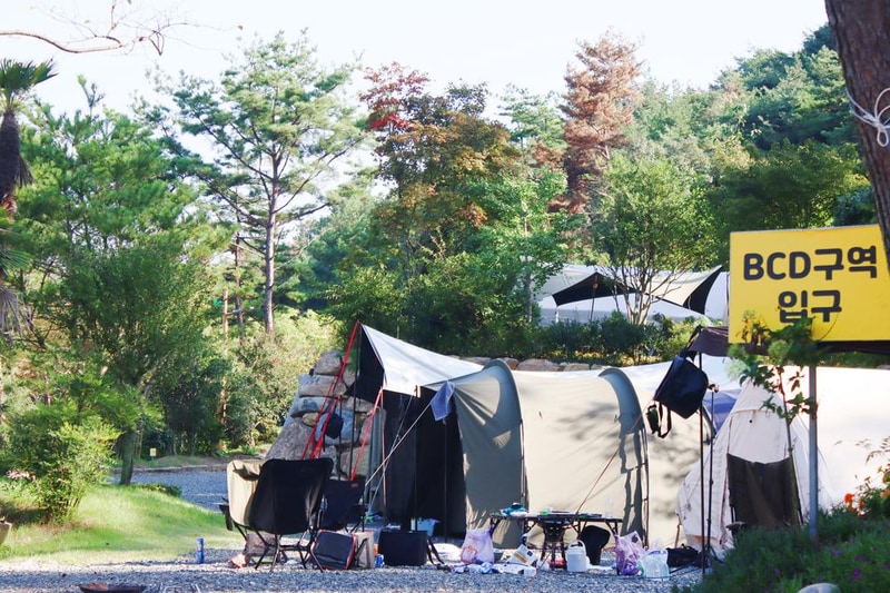 (주)러블레싱(LOVEBLEESING INC) 시설 사진 41