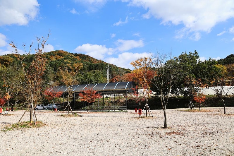 포천그린별캠핑장 시설 사진 15