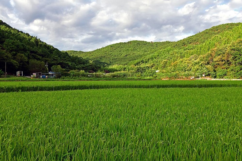 자연애스토리 시설 사진 11