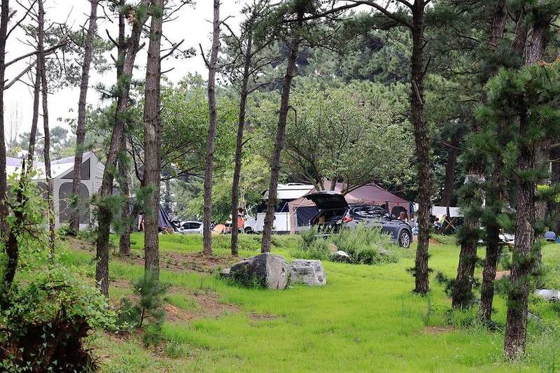 대부도 아라뜰 캠핑장 시설 사진 2