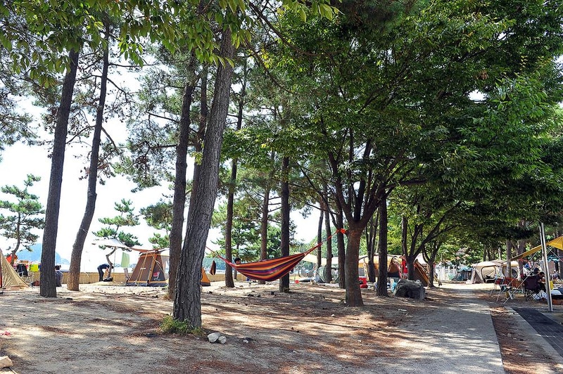 상주은모래비치 오토캠핑장 시설 사진 15