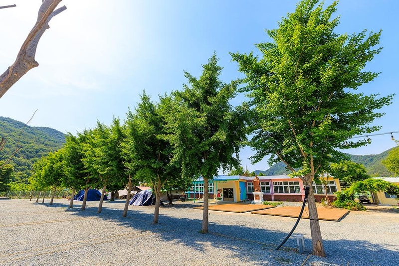 밀양 도깨비방망이 캠핑장 시설 사진 12