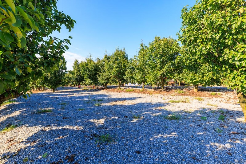 팜앤투어 캠핑장 시설 사진 13