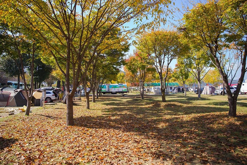 정양레포츠공원 오토캠핑장 시설 사진 6