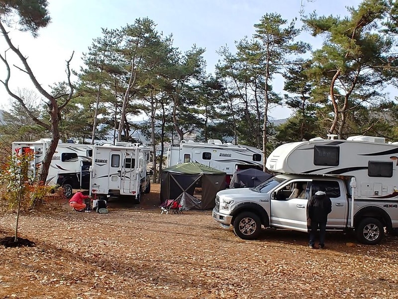 숲속의베리팜 시설 사진 25