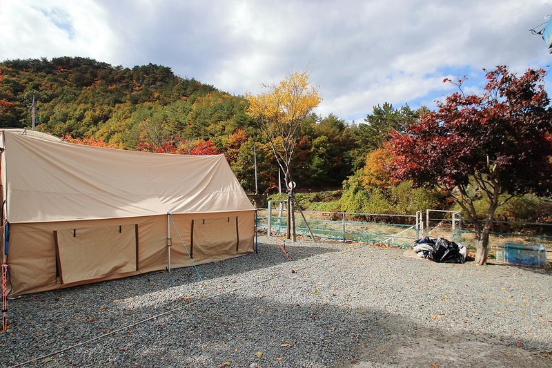 그린하우스캠핑장 시설 사진 5