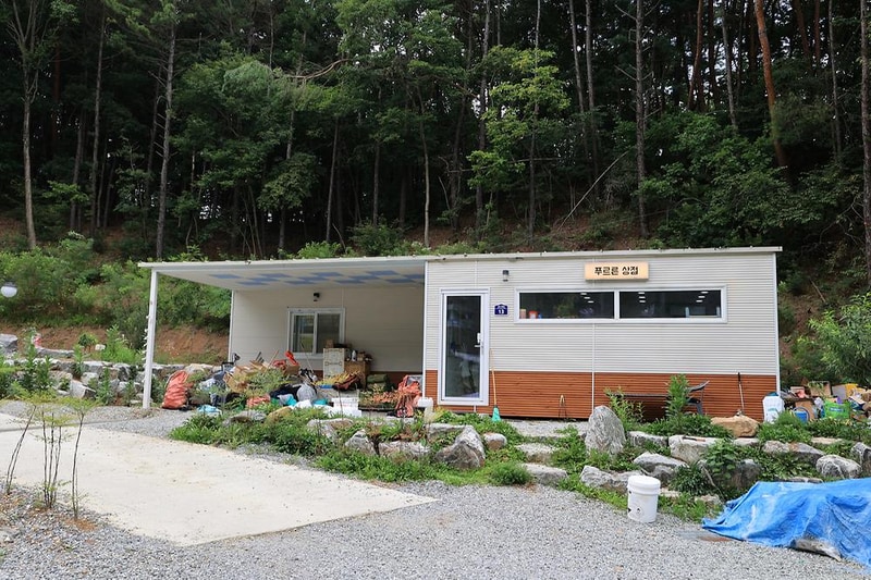 푸르른 캠핑장 시설 사진 3