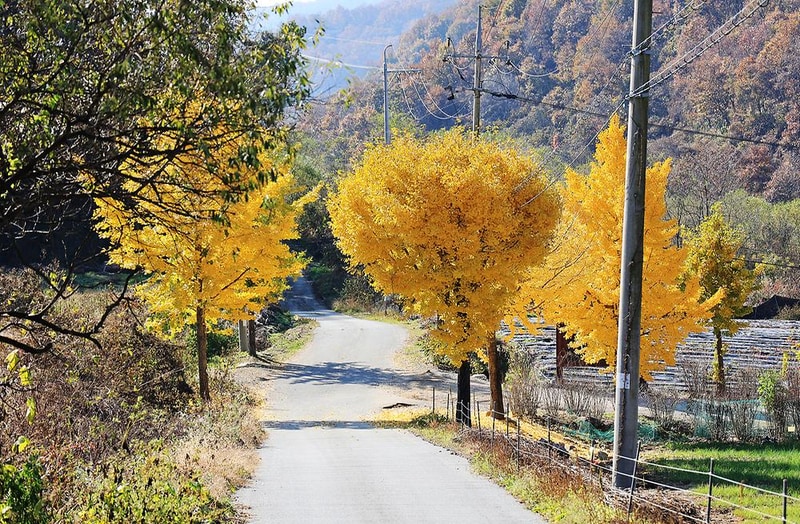 라곰 시설 사진 1