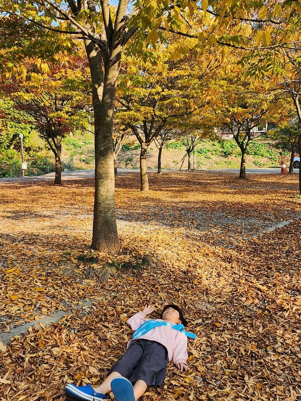 굼벵이캠핑장 시설 사진 10