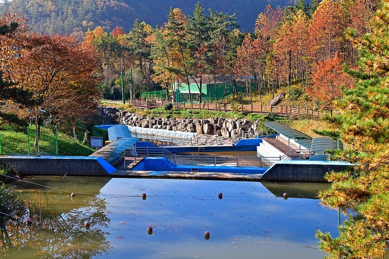 흑석산 자연휴양림 시설 사진 9