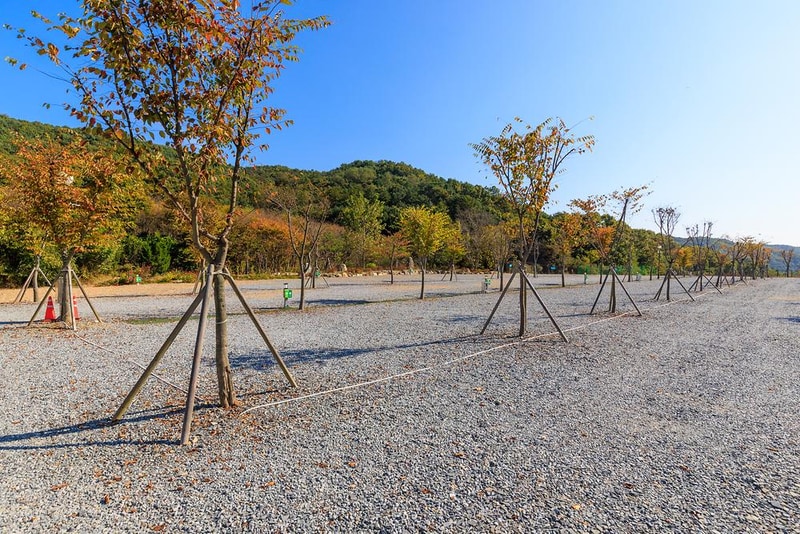 노리터 키즈 캠핑장 시설 사진 18