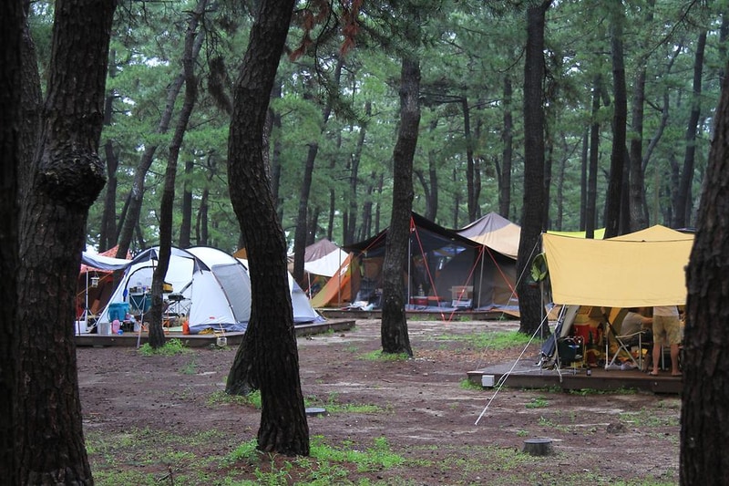 연곡해변 솔향기캠핑장 시설 사진 2