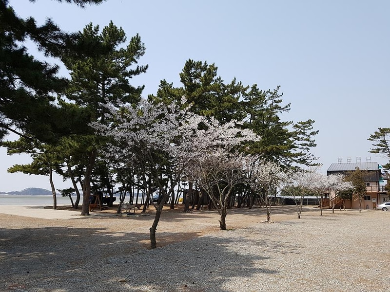 나라펜션캠핑장 시설 사진 7