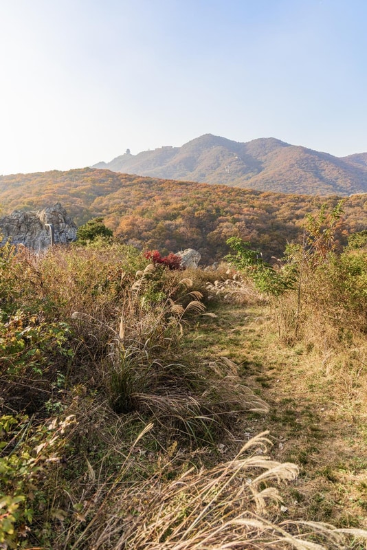 초막골생태공원 느티나무야영장 시설 사진 4