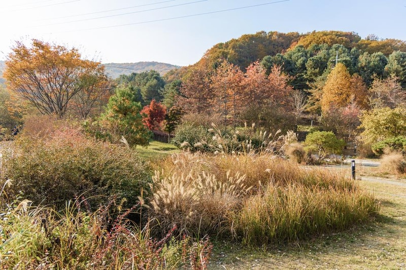 초막골생태공원 느티나무야영장 시설 사진 18