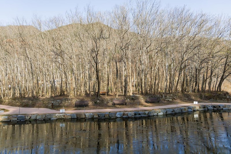 가야산오토캠핑장 시설 사진 9