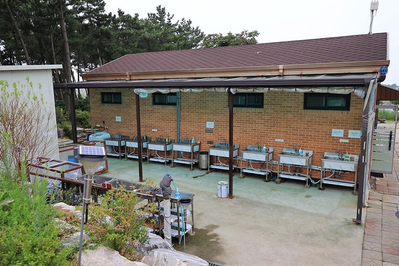 대부도 아라뜰 캠핑장 시설 사진 6