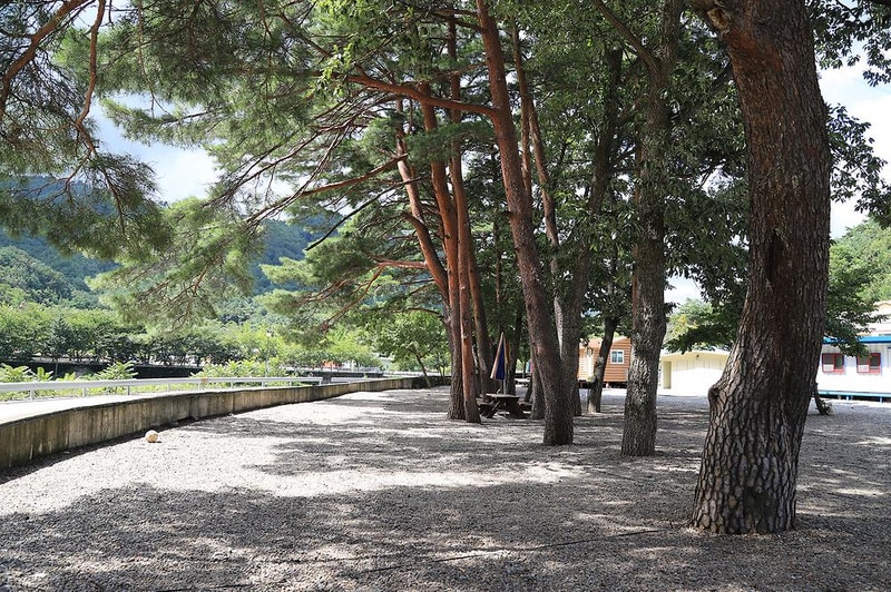 내평계곡캠핑장 시설 사진 3