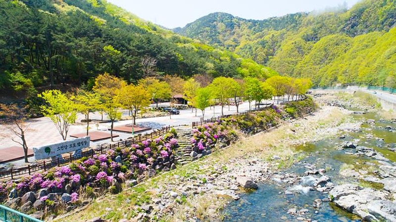 소선암오토캠핑장