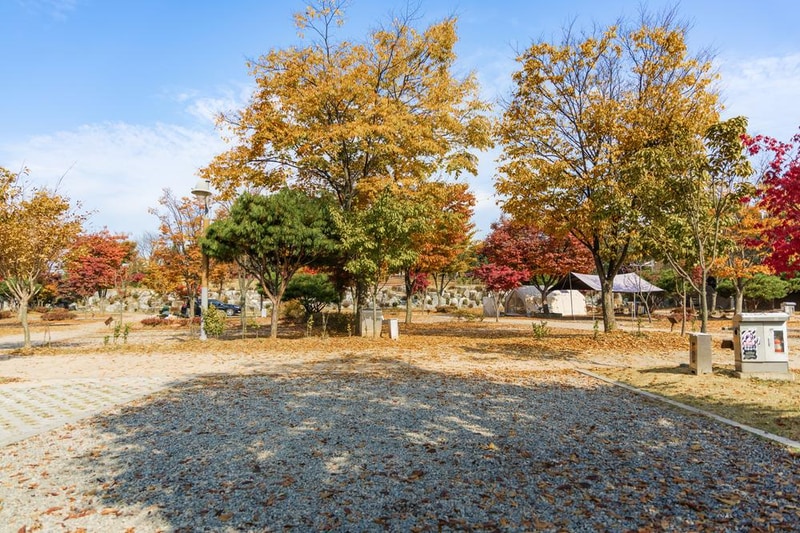 화성시 향남 오토캠핑장 시설 사진 61