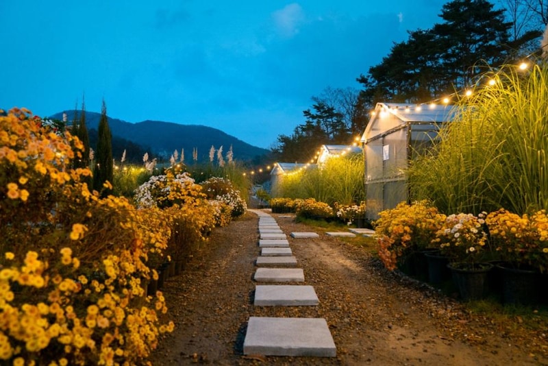 더힐링식물원 야영장 시설 사진 13