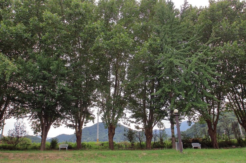 잉카마야박물관&캠핑장 시설 사진 7