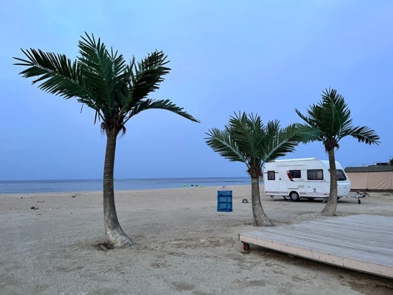 대진해수욕장 야영장